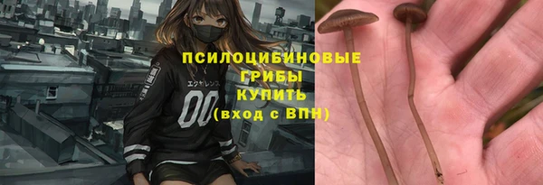 ECSTASY Алзамай