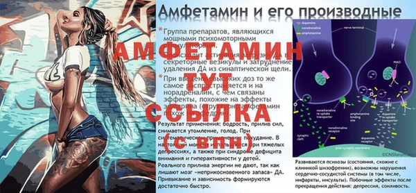 ECSTASY Алзамай