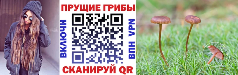 Галлюциногенные грибы GOLDEN TEACHER  Купить закладки  Верхнеуральск 